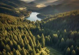 Oregon Parks