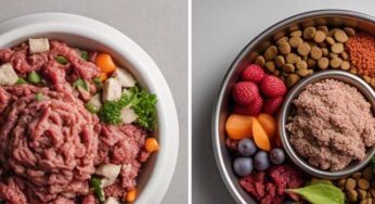 Health Alert: Raw Pet Food Risks for Owners