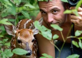 Caring for Nature's Young