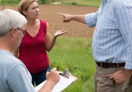 Landowners Accuse Forestry
