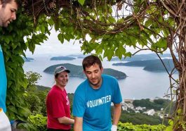 Volunteer at Sunset Bay