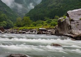Water Year Brings