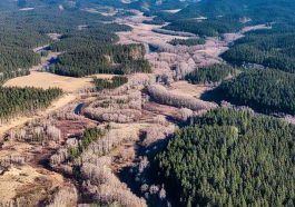 BLM allocated Nearly