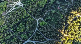 Coastal Republicans Push Back on Elliott State Forest Bill
