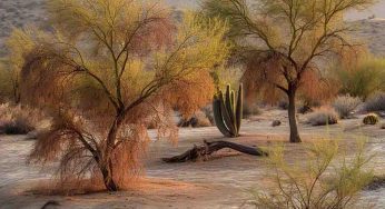 New Report Reveals Drought, Pests, and Disease as Top