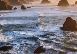 Oregon Democratic