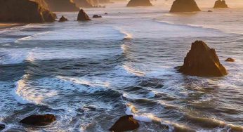 Oregon Democratic Leaders Unite to Support West