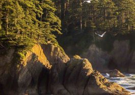 Wild Rivers Land Trust