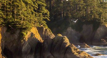 Wild Rivers Land Trust Welcomes New Leader