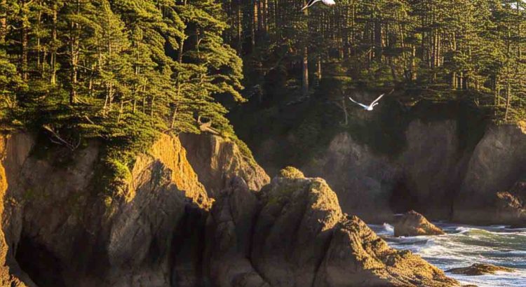 Wild Rivers Land Trust