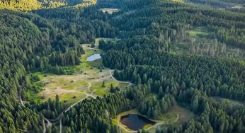 Oregon Makes History: First Habitat Conservation Plan