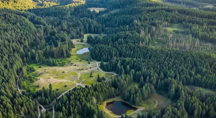 Oregon Makes History