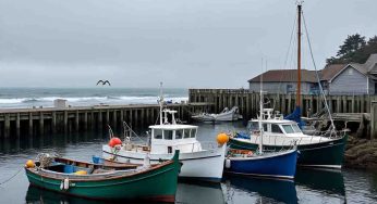 Delayed Relief: Oregon Fights for $7 Million in Fishery