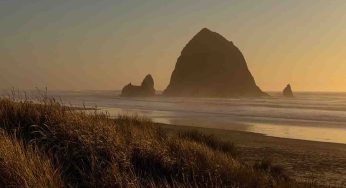 Charting the Depths: Oregon’s Rockfish Survey Sets Sail