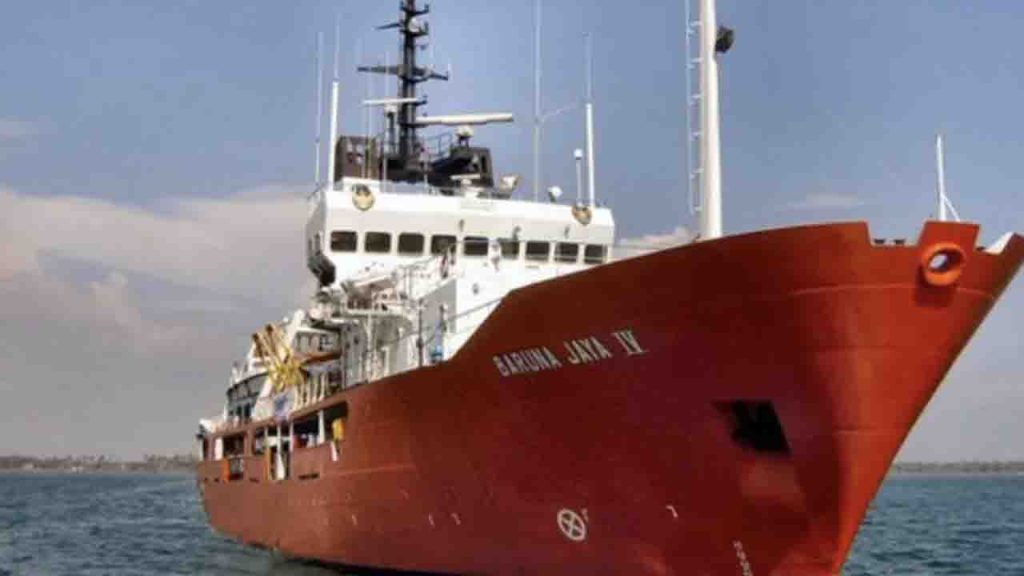 Importance of Rockfish