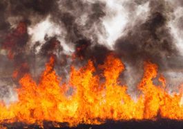 Massive Blaze Strikes