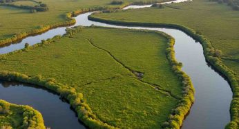 Restored Wetlands and New Trails: A Gateway to Nature’s