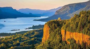 Over 320 Oregon Species Now at Risk, State Wildlife Report
