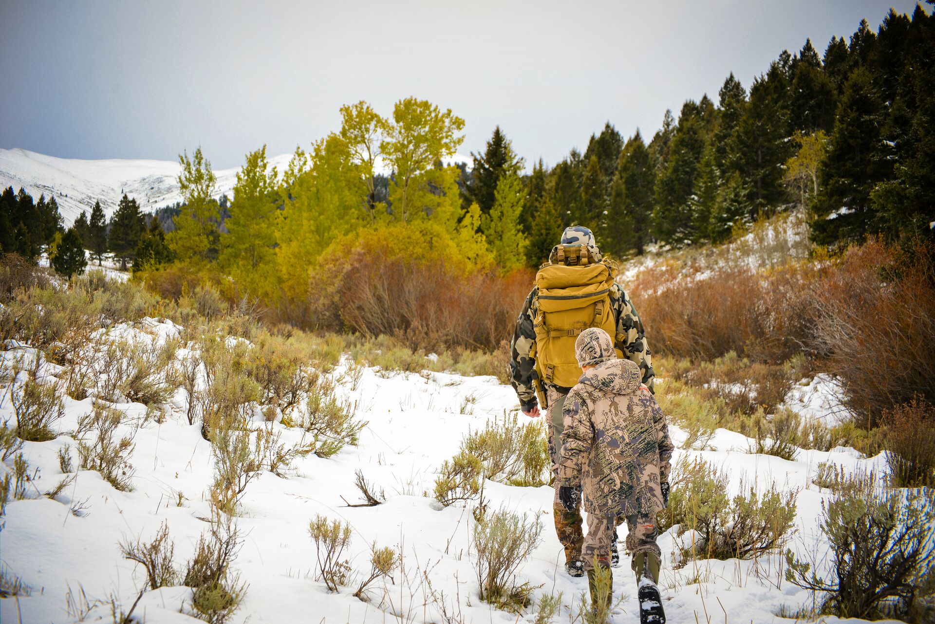 Understanding Hunting Regulations