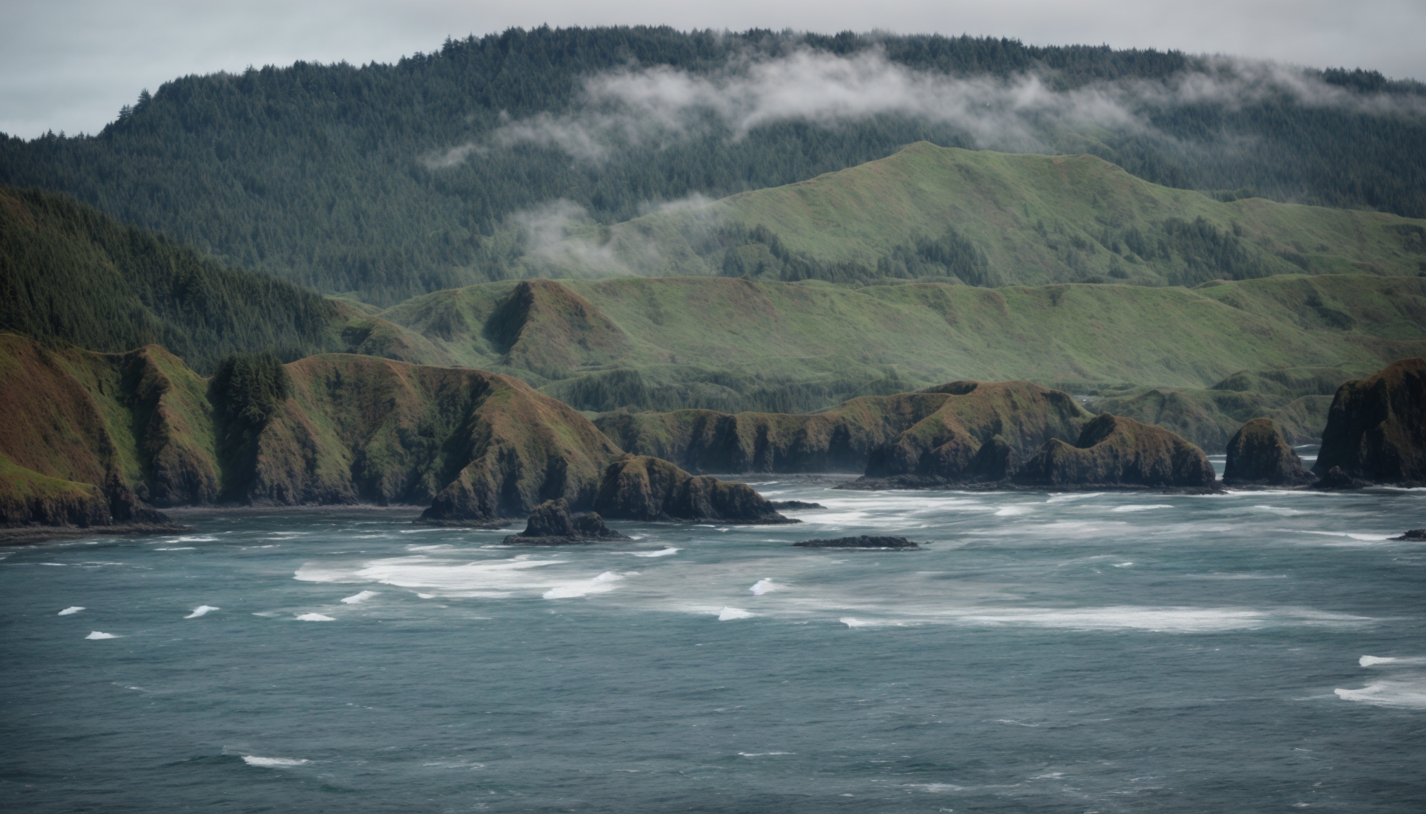 Local History Moments That Define the Spirit of Reedsport Oregon